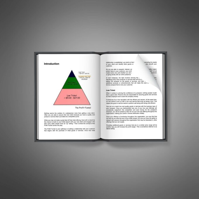Maximizing Sales Funnels - Image 4