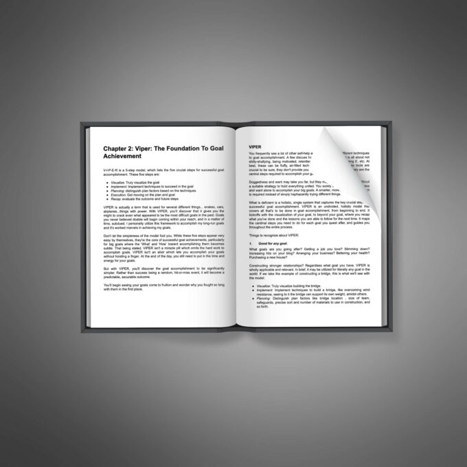 Success & How to Achieve it - Image 4